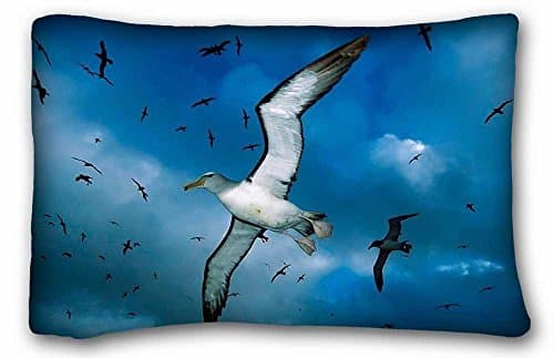 Soft Pillow Case Cover (Animals gulls flocks sky clouds birds sea) Custom Cotton & Polyester Soft Rectangle Pillow Case Cover 20x30 inches (One Side) suitable for Twin-bed PC-Green-32766