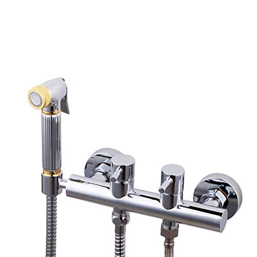 GFEI Copper two into two hot and cold water mixing valve / multifunctional sanitary cleaning / bathing device / pet toilet flushing nozzle,3M hose
