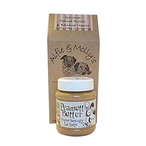 Dog Peanut Butter Treat