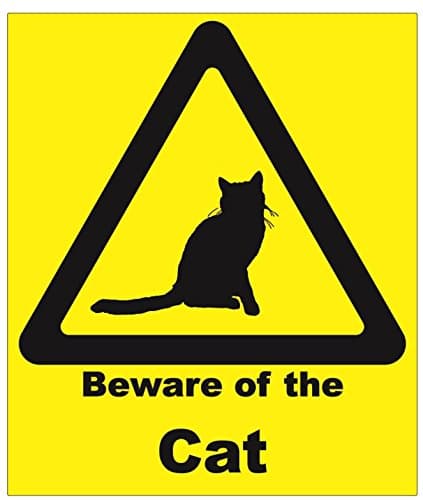 Beware of the Cat - A5