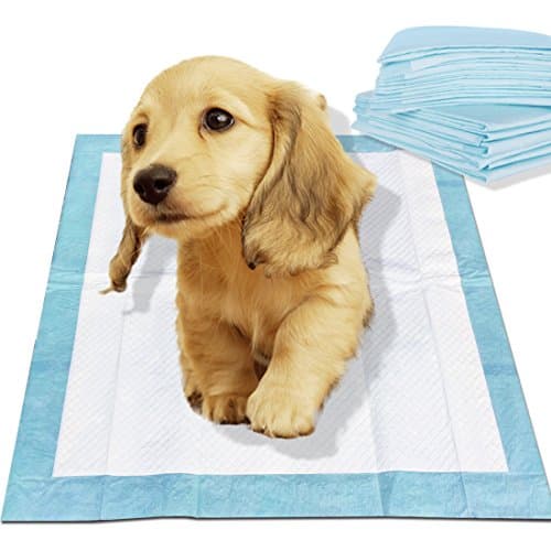 Super Absorbent Pet Training Pads Large Quick Dry No Leaks Disposable with Super Absorbent Polymer Technology for Training dog,Puppy,cat (33x45cm 100packs)