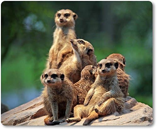 Fabric mouse mat rubber backed non-slip for all types of mice- Sonnt Meerkat Family Motif sich [17]