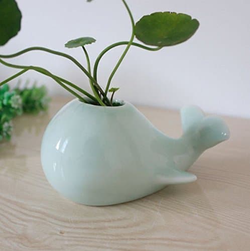 Whale Ceramic Succulent Mini Flower Pot for Small Plants