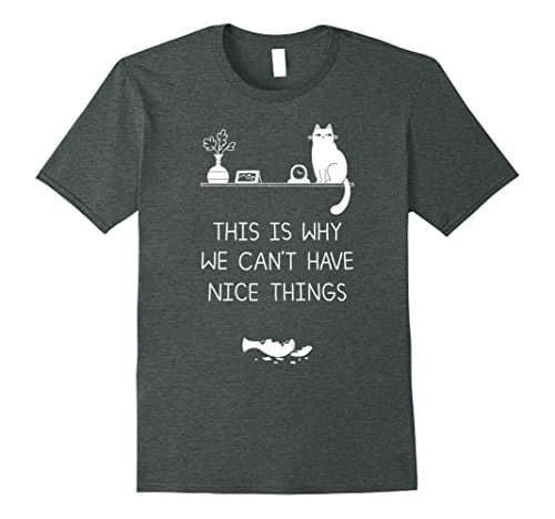 Mens This Is Why We Can't Have Nice Things T-Shirt Large Dark Heather