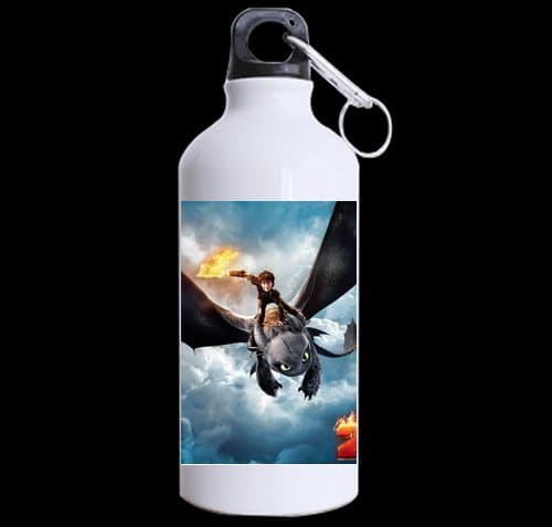 Custom How to Train Your Dragon 2 100% super-strong recycled aluminum Sports Water Bottle Mug 13.5 OZ (Twin Sides)