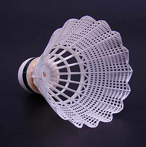 Colletia Badminton 6-Pack Medium Speed Shuttlecocks (White) Nylon Feather Birdies Balls Great Durability and Stability Suitable for Outdoor Indoor Sports Training (White)