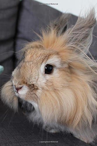 Angora Rabbit Journal: 150 page lined notebook/diary