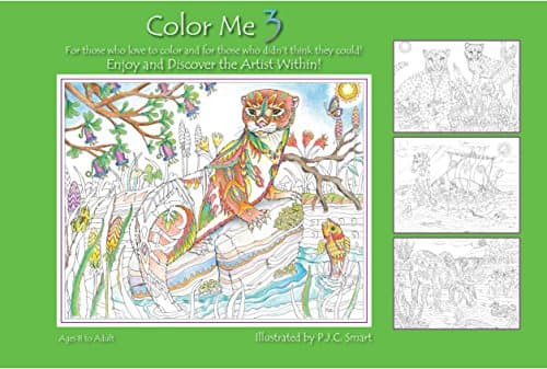 Color Me Your Way 3 (Volume 3)