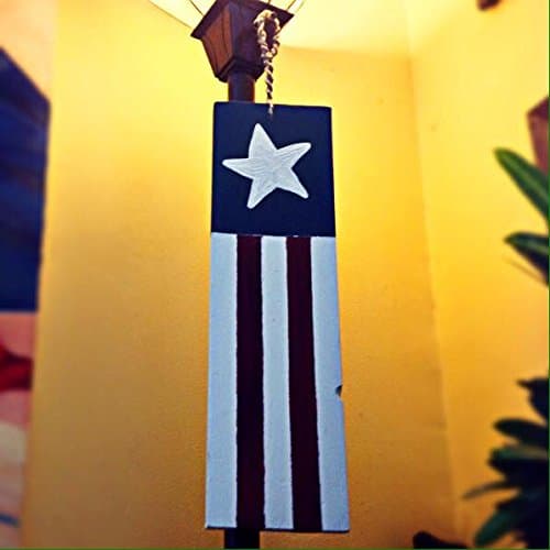 Lone Star Single Panel