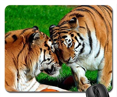 Amur Tigers Mouse Pad, Mousepad (Cats Mouse Pad)