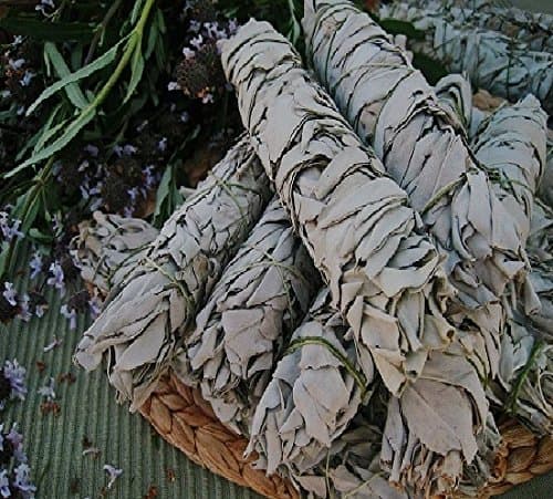 Qty 3 White Sage Smudging Sticks 4"