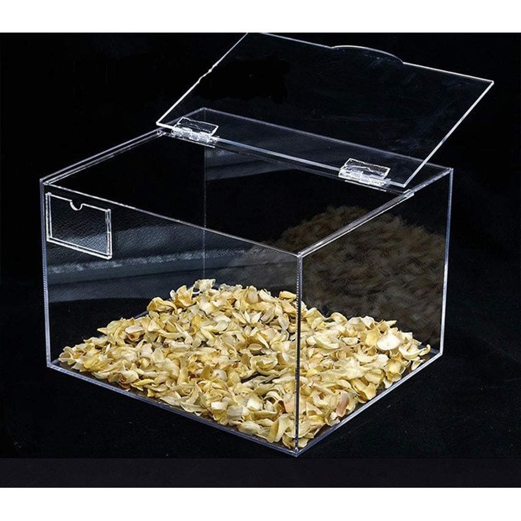 Jiangjun 10Pcs Transparent Plastic Folding Hinges, Durable Clear Acrylic Hinge Tools Cabinet Hardware Furniture Cabinet Door Hinges (Color : 25 33 3mm)