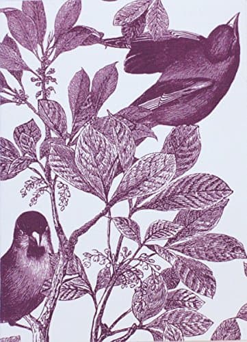 Caskata Studio 8-Count Boxed Note Cards, Aviary Plum (CAS11050)