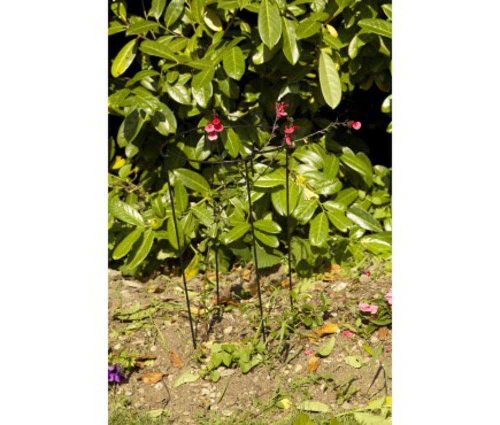 Gro-Links Plant Support 20cm x 50cm 4 Pack