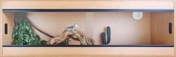 Slim Vivarium, Beech 48