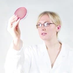 Violet Red Bile Agar for Coliform Detection, Ready-to-Use, Contains 50 Bottles of Media and 50 Petri Dishes, from Weber Scientific