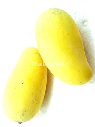 Thai Sweet Mango 10 Seeds ThailandMrk
