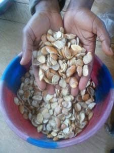 Ogbono whole seeds (200 gram)