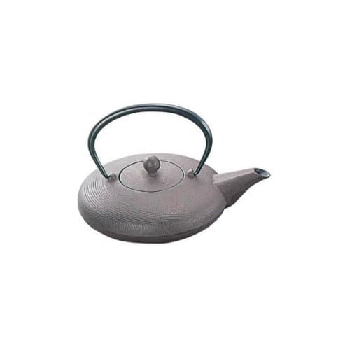 Iwachu Cast Iron Teapot - Tsuki in Brown