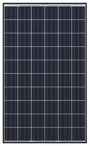 Q CELLS 250W Poly BLK/WHT Solar Panel - Pack of 4