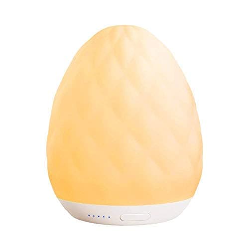 Seabiscuit Touch Lamp, Timer Setting Dimmable Warm White & RGB Sunset Fading Night Light and Time-to-Sleep