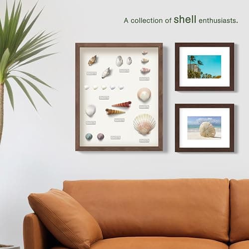 FrameWorks Mahogany Wooden Shadow Box Frame - 12' x 16', Display Case with Soft Felt Back, Tempered Glass, Elegant White Ball Push Pins