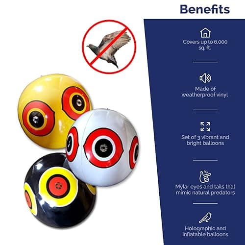Bird-X SE-PAC Scare Eye Balloon, 3-Pack
