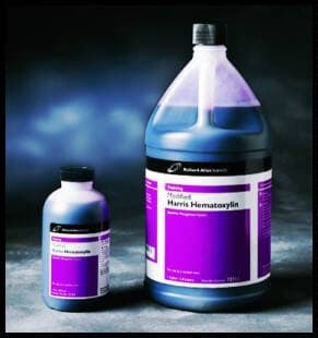 Modified Harris Hematoxylin Stain, 1 Pint ()