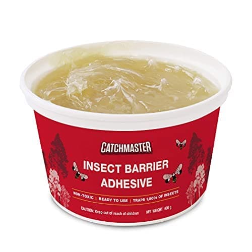Catchmaster Tree Banding Insect Barrier DIY 15oz Pale Lantern Fly Ant Trap Outdoor Adhesive Crawling Insect Trap Glue Trap for Protecting Trees, Fruits and Plants
