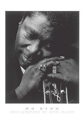 artworkforless.com B.B. King by Jeff Sedlik - 31 1/2 x 24 inches - Fine Art Print/Poster