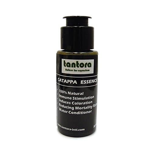 Tantora Catappa Essence Water Conditioner 30ml