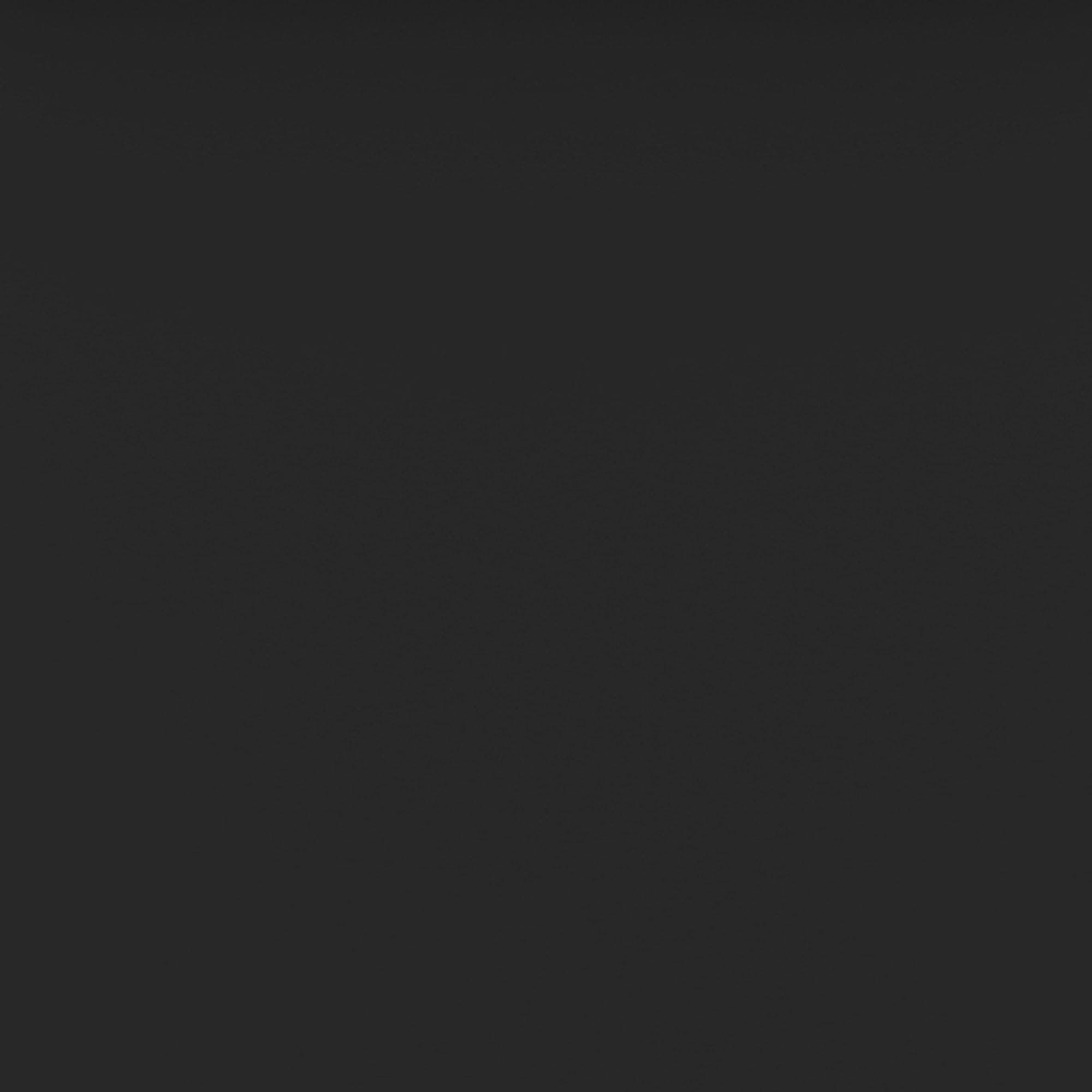 Walker Edison Twin Roll-Out Trundle Bed Frame only with Wheels, Black