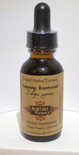 Japanese Knotweed Natural Extract Tincture (Polygonum Cuspidatum)