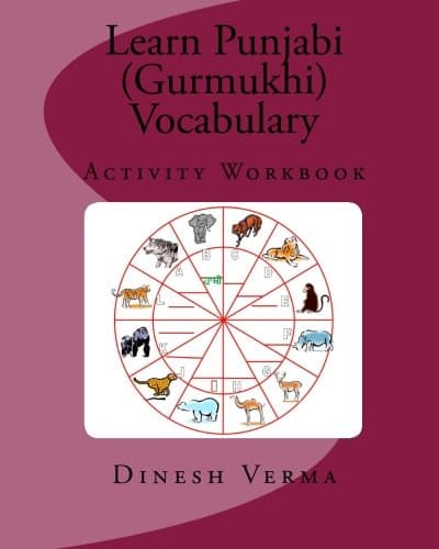 Learn Punjabi (Gurmukhi) Vocabulary Activity Workbook