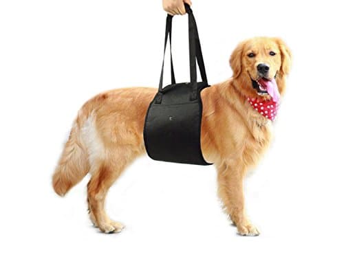 Paercute Lift Harness - Adjustable Support Sling Straps Help with Loss of Stability Stand Up, Walk, Climb Stairs and Hop into Car. …