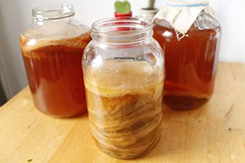 Medium Scoby from Kombuchaorganic® UKAS LAB Quality Tested Outstanding Certified Organic for 3 Litre brew