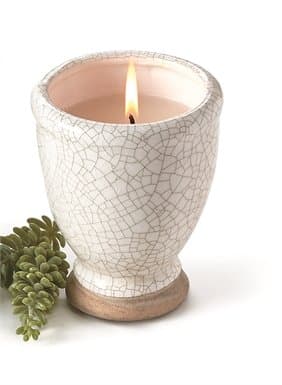 Citronella Filled Artisan Pots (White)