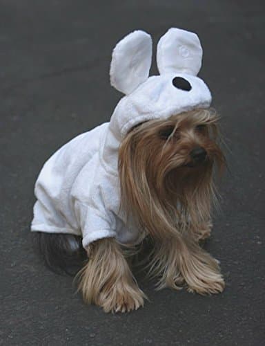 Cuddly Teddy Bear Dog Costume - Small