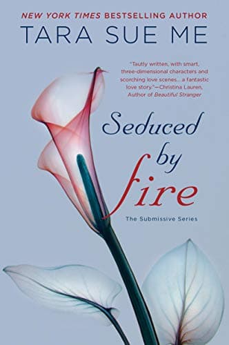 Seduced By Fire (The Submissive Series Book 4)