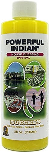 Success Bath & Floor Wash 8oz