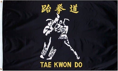 Tae Kwon Do Flag - 3 foot by 5 foot Polyester (NEW)