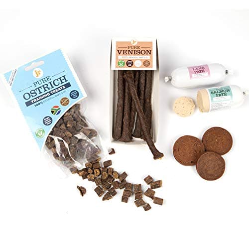 JR Pet Products Puppy Starter Bundle