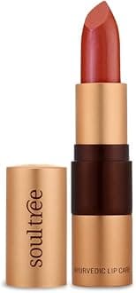 - Ayurvedic Lipstick - Colour Deep Blush 820, 4gm | Creamy Texture | Enriched with Organic Ghee & Almond Oil | Moistured & Nourished Lips | 4gm