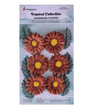 Expressions Craft Daisy-Brown Flowers