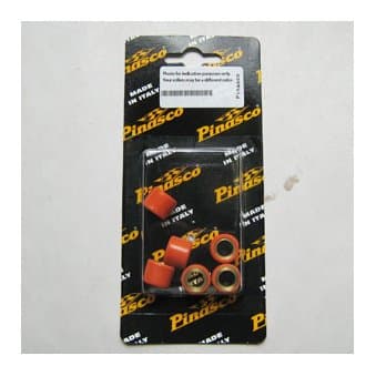 Pinasco Roller Weights (15x12 5.0g)