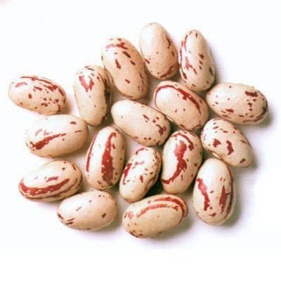 – Rosecoco Beans/Crab Eye Beans - 1.5kg
