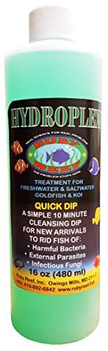 Ruby Reef Hydroplex (16 oz.)