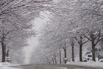 Merry Christmas Image 6 Send to you via e-mail