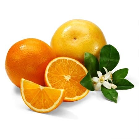 Navel Oranges and Ruby Grapefruit 10lb Box