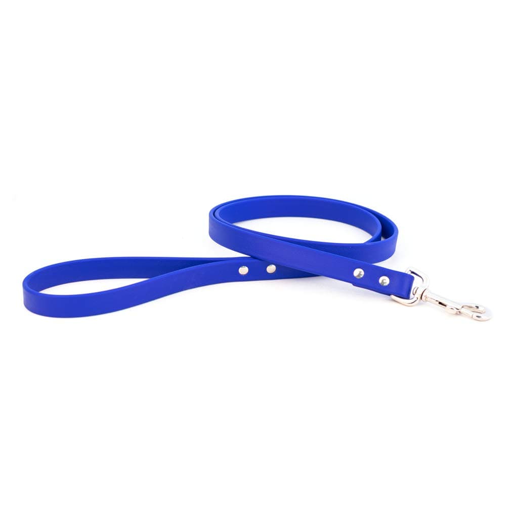 Water-Resistant Canine Leash by Auburn